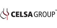 Celsa Group b