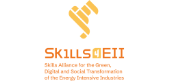 COLOUR3SKILLS4EII