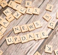 news section